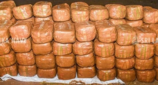 Kerala Cannabis Worth Rs. 87 Million Seized